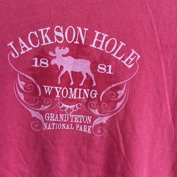 Jackson Hole/Grand Teton NP tshirt short sleeve size M - Picture 2 of 3